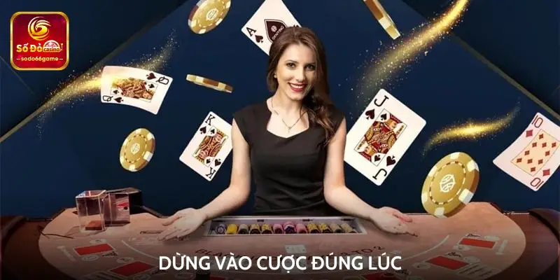 Dừng vào cược đúng lúc